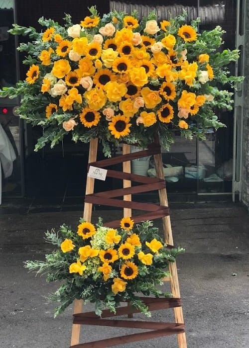 Hình ảnh này chưa có thuộc tính alt; tên tệp của nó là z2586833458816_f45e632ce874ee162d6085fc2f2f0aac-min.jpg