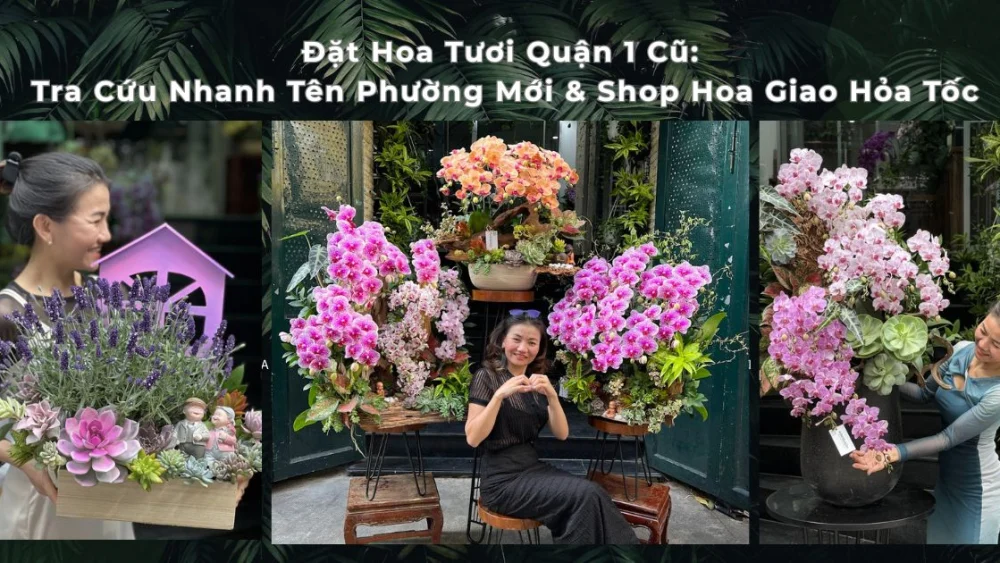 Đặt Hoa Tươi Quận 1 Cũ: Tra Cứu Nhanh Tên Phường Mới & Shop Hoa Giao Hỏa Tốc