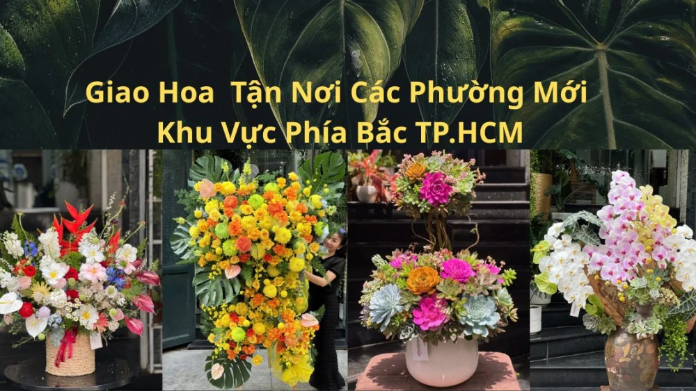 Cách Đặt Hoa Tươi Giao Khu Vực Phía Bắc TPHCM: Giao Nhanh Đến Phường Mới (Quận 12, Gò Vấp, Hóc Môn, Củ Chi Cũ)