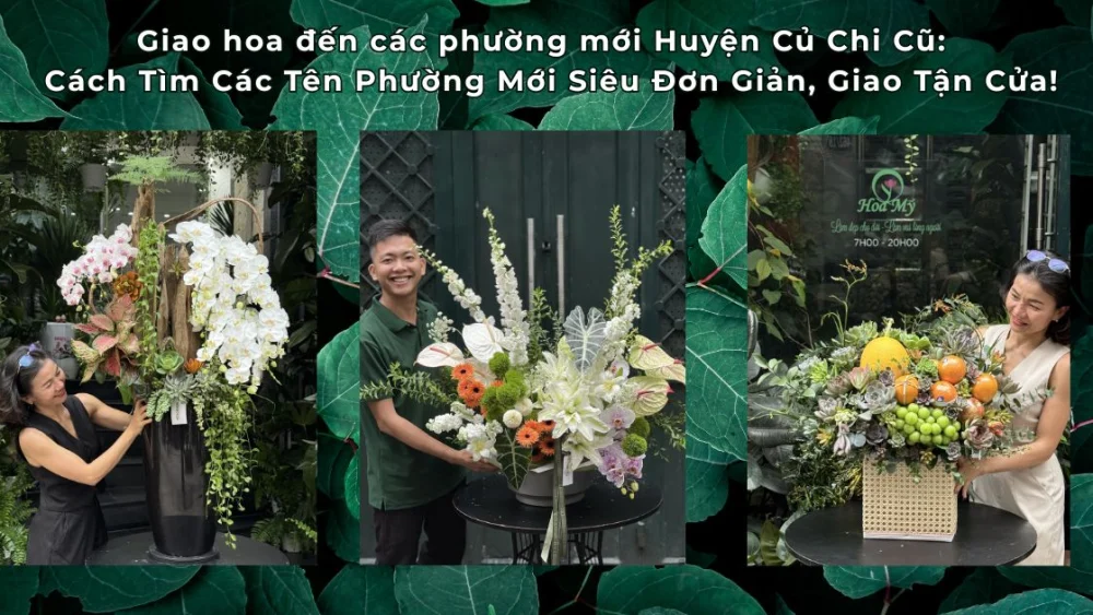 Giao hoa đến các phường mới Huyện Củ Chi cũ – Cách Tìm Các Tên Phường Mới