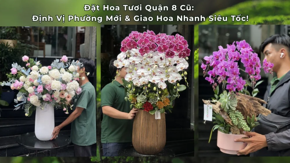 Đặt Hoa Tươi Quận 8 Cũ: Tra Cứu Nhanh Tên Phường Mới & Shop Hoa Giao Hỏa Tốc