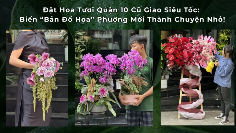 Đặt Hoa Tươi Quận 10 Cũ: Tra Cứu Nhanh Tên Phường Mới & Shop Hoa Giao Hỏa Tốc