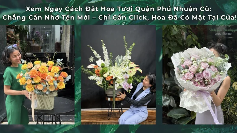 Giao hoa đến các phường mới Quận Phú Nhuận cũ – Cách Tìm Các Tên Phường Mới
