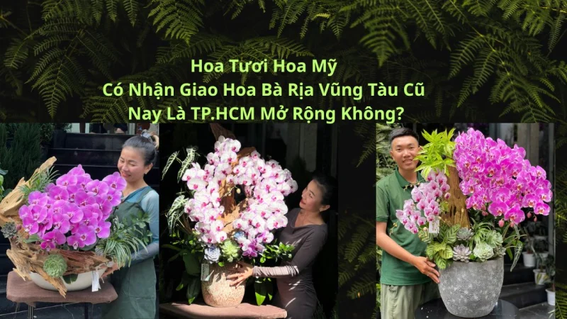 Vì Sao Hoa Tươi Hoa Mỹ Chỉ Giao Lan Hồ Điệp – Hoa Sen Đá Về Vũng Tàu Cũ Nay Là TP.HCM Mở Rộng