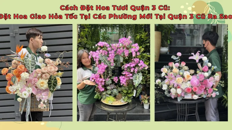 Đặt Hoa Tươi Quận 3 Cũ: Tra Cứu Nhanh Tên Phường Mới & Shop Hoa Giao Hỏa Tốc
