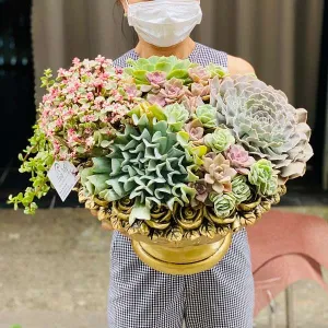 Chậu Hoa Tết Mang Tên Phú Quý, Hạnh Phúc Đầy Nhà