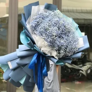 Hoa Baby Màu Xanh Kiểu Bó Dài [Hoa Nhập Khẩu Hà Lan]