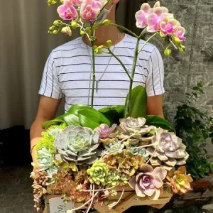 Hoa Tặng Bạn Mẫu Hoa Sen Đá Mix Lan Hồ Điệp Tươi Mãi Với Thời Gian