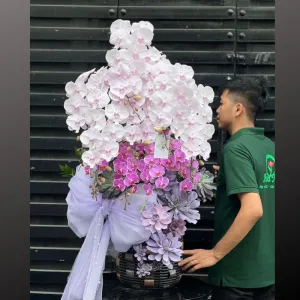 Hoa Đẹp Ngày 8 3: Bình Lan Hồ Điệp Pastel Kiểu Công Chúa