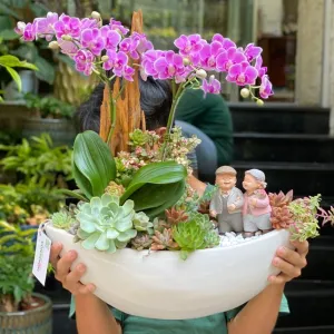 Quà Tặng Khách Hàng Độc Lạ Với Tiểu Cảnh Sen Đá và Lan Hồ Điệp