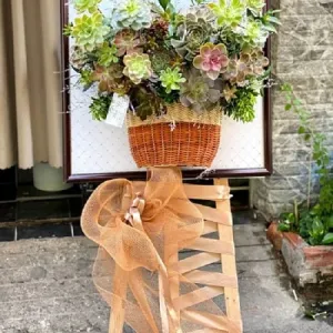 Hoa Tặng Khai Trương Cửa Hàng Sen Đá Tươi Lâu Độc Lạ