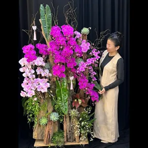 Nơi Bán Lan Hồ Điệp Mix Sen Đá Trồng Trên Gỗ Lũa Khủng Tự Nhiên Uy Tín