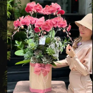 Lẵng Hoa Lan Hồ Điệp Đỏ May Mắn – Hoa Sinh Nhật Cho Nam Giới