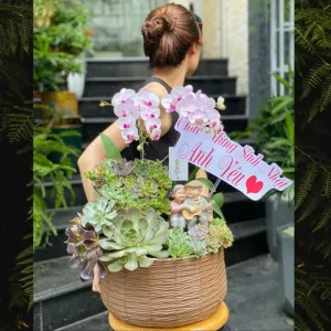 Giỏ Hoa Sen Đá Mix Lan Hồ Điệp Mini Hồng Để Bàn – Quà Kỷ Niệm Ngày Cưới Tình Yêu Vĩnh Cửu