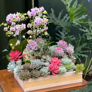 Hoa Tặng Mẹ Lẵng Hồ Điệp Mix Hoa Sen Đá-Hoa Mừng 8 3