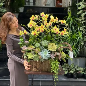 Lan Hồ Điệp Tết Lên Ngôi Vua Khi Mix Cùng Hoa Sen Đá