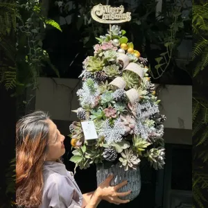 Cây Thông Noel Đẹp Từ Hoa Sen Đá Độc Đáo Tươi Lâu