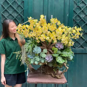 Gỗ Lũa Lan Hồ Điệp Mini Vàng Mix Hoa Sen Đá-Hoa Tặng Tết Sang Trọng