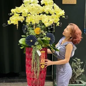 Chậu Hoa Mừng Khai Trương-Hồ Điệp Vàng Mang Tài Lộc May Mắn