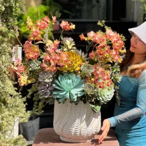 Chậu Lan Mini Mix Sen Đá Đẹp – Hoa Sinh Nhật Sang Trọng Từ Tiểu Hồ Điệp
