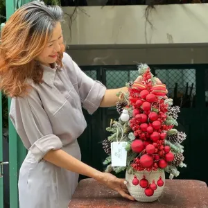 Cây Thông Nhỏ Để Bàn Thông Đan Mạch Ghép Cành Tươi Lâu