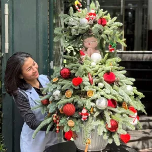 Cây Thông Thật Nhập Khẩu “Made In” Đan Mạch Chính Hãng