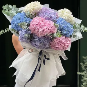 Bó Hoa Cẩm Tú Cầu Đẹp Mix Nhiều Màu