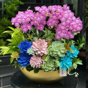 Hoa Lan Hồ Điệp 8 3 – Bình Lan Mini Hồng Mix Sen Đá Thỏi Vàng, Quà Tặng Sang Trọng