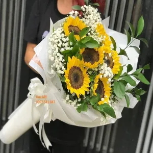 Hoa Hướng Dương Bó Đẹp và Ý Nghĩa
