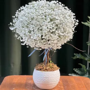 Shop Hoa Gần Đây Uy Tín Chất Lượng -Top 2 Hoa Tươi Hoa Mỹ