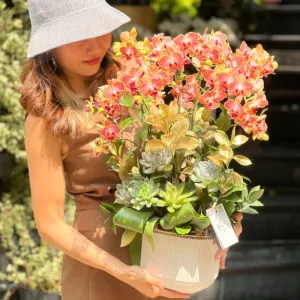 Bình Lan Tiểu Hồ Điệp Cam Rực Rỡ – Hoa Sinh Nhật, Hoa Khai Trương Tươi Lâu Trên 15 Ngày