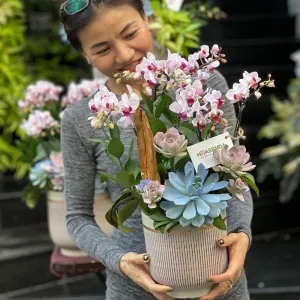 Lãng Hoa Khai Trương Hồng Phát- Tiểu Hồ Điệp và Sen Đá
