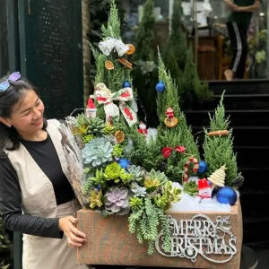Cây Sơn Tùng Noel Mix Sen Đá: Tiểu Cảnh  “Tam Sơn” – Quà Tặng Giáng Sinh Ý Nghĩa
