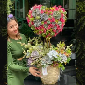 Hoa Valentine 14 Tháng 2: Sen Đá Trái Tim Mang Ý Nghĩa Tình Yêu Vĩnh Cửu