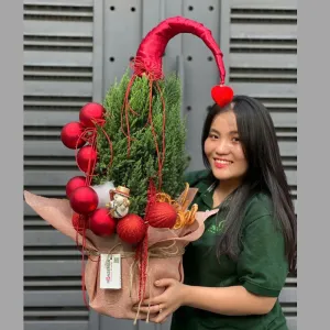 Cây Tùng Noel Thật – Thiết Kế Dáng Mũ Santa Độc Đáo Đón Giáng Sinh