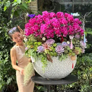 Chậu Hoa Lan Mini Tím Mix Sen Đá Mừng Khai Trương Sang Trọng