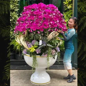 Hoa Lan Chậu Màu Tím 60 Cành Mix Sen Đá Cực Sang Tươi Lâu Đẹp Bền Cả Tháng
