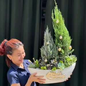 Cây Tùng Noel Đẹp Mix Sen Đá Phong Thủy-Cây Thông Giáng Sinh 2025