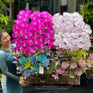 Hoa Tặng Vợ 8 3: Hộp Gỗ Lan Hồ Điệp Đỏ Cherry, Tím Môn Mix Sen Đá Cực Kỳ Độc Đáo