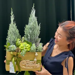 Cây Thông Giáng Sinh Mix Sen Đá: “Sơn Cao Vững Như Thạch”