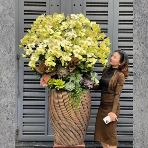 Lan Hồ Điệp Vàng To Khủng Giá Bao Nhiêu?
