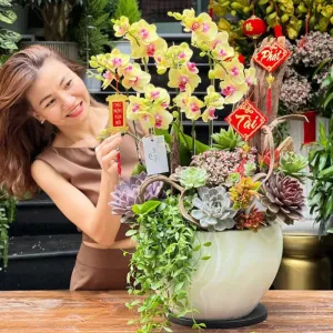 Hồ Điệp Mini Mix Sen Đá Đẹp Độc Lạ-Hoa Tặng Năm Mới