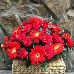 Hoa Để Bàn Đại Biểu, Bàn Họp, Bàn Dài