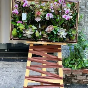 Kệ Hoa Khai Trương Đẹp Lan Hồ Điệp và Sen Đá