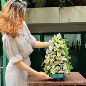 Cây Thông Mini Kết Từ Tùng Nho và Hoa Sen Đá