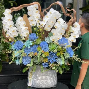 Lan Hồ Điệp Trắng Mix Sen Đá Trồng Trên Gỗ Lũa Thiên Nhiên Mẫu Mới Nhất