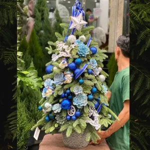 Cây Thông Noel Đẹp Ghép Từ Thông Đan Mạch Mix Sen Đá Màu Xanh Dương Ấn Tượng