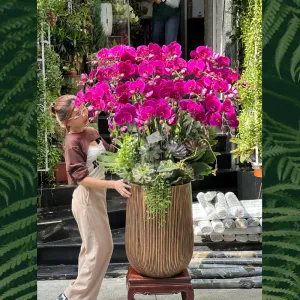 Mẫu Bình Hoa Lan Khai Trương Tím Đậm Mix Sen Đá Hot Nhất