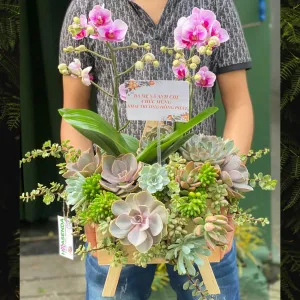 Mẫu Hoa Sinh Nhật Đẹp Nhất Được Nhiều Người Yêu Thích