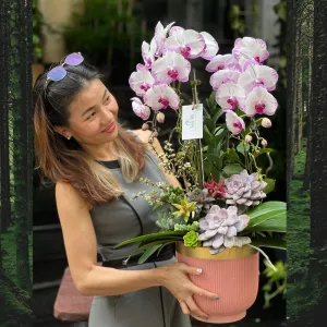 Chậu Lan Hồ Điệp 2 Cành Để Bàn Mix Sen Đá Hồng– Hoa Sinh Nhật Khách Hàng